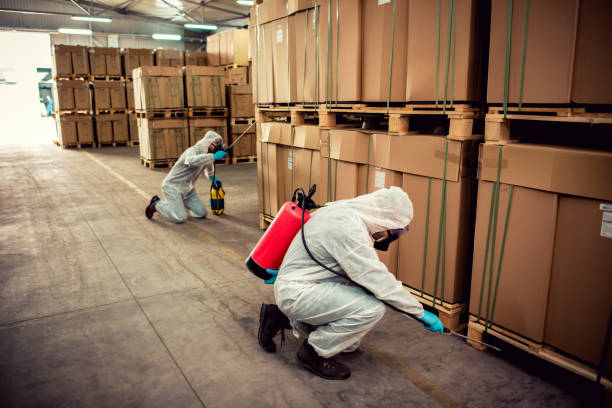 Best Mosquito Control Services  in Edgewood, FL