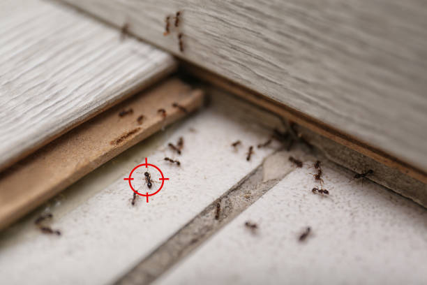 Edgewood, FL Pest Control Company