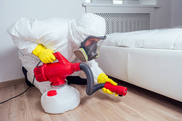 Best Best Pest Control Companies  in Edgewood, FL