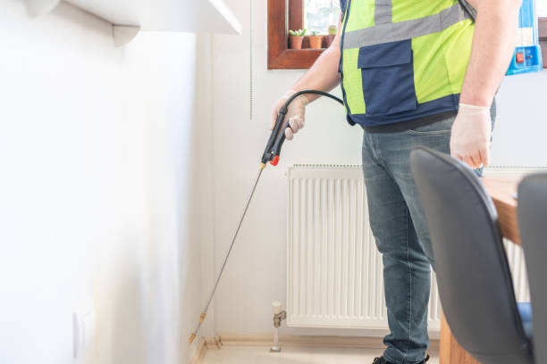 Wasp Removal Services in Edgewood, FL