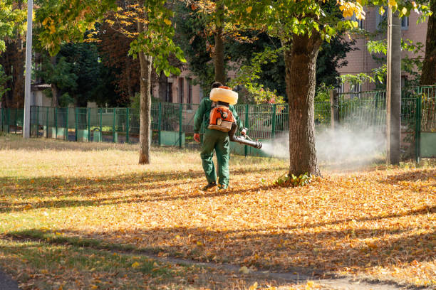 Best Residential Pest Control  in Edgewood, FL