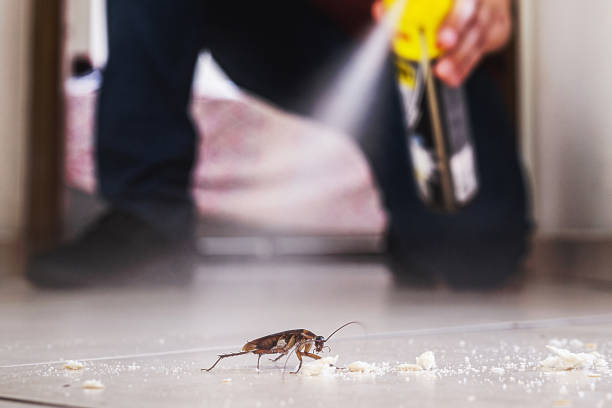 Best Pest Removal Services  in Edgewood, FL