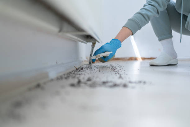 Best Emergency Pest Control  in Edgewood, FL
