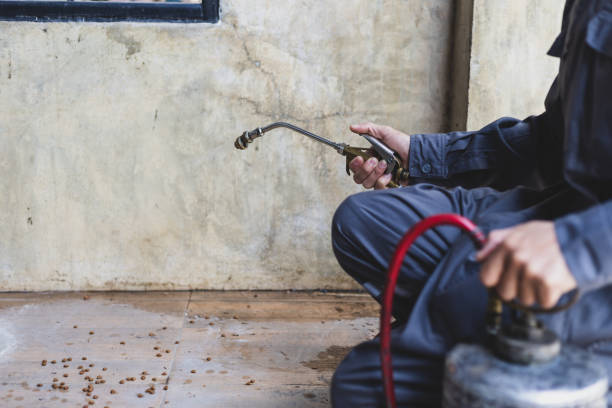 Best Pest Control for Restaurants  in Edgewood, FL